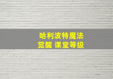 哈利波特魔法觉醒 课堂等级